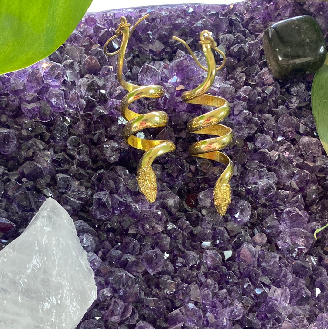 Serpentine Spiral Earrings – Mystical & Graceful