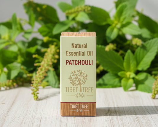 Patchouli essential oil in its printed Tibet Tree of Life box, 10ml